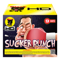 Sucker Punch 9's