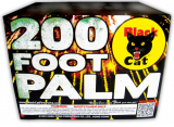 200 Foot Palm
