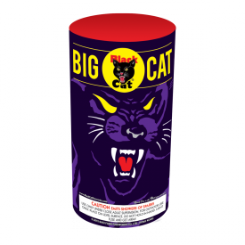 Big Cat